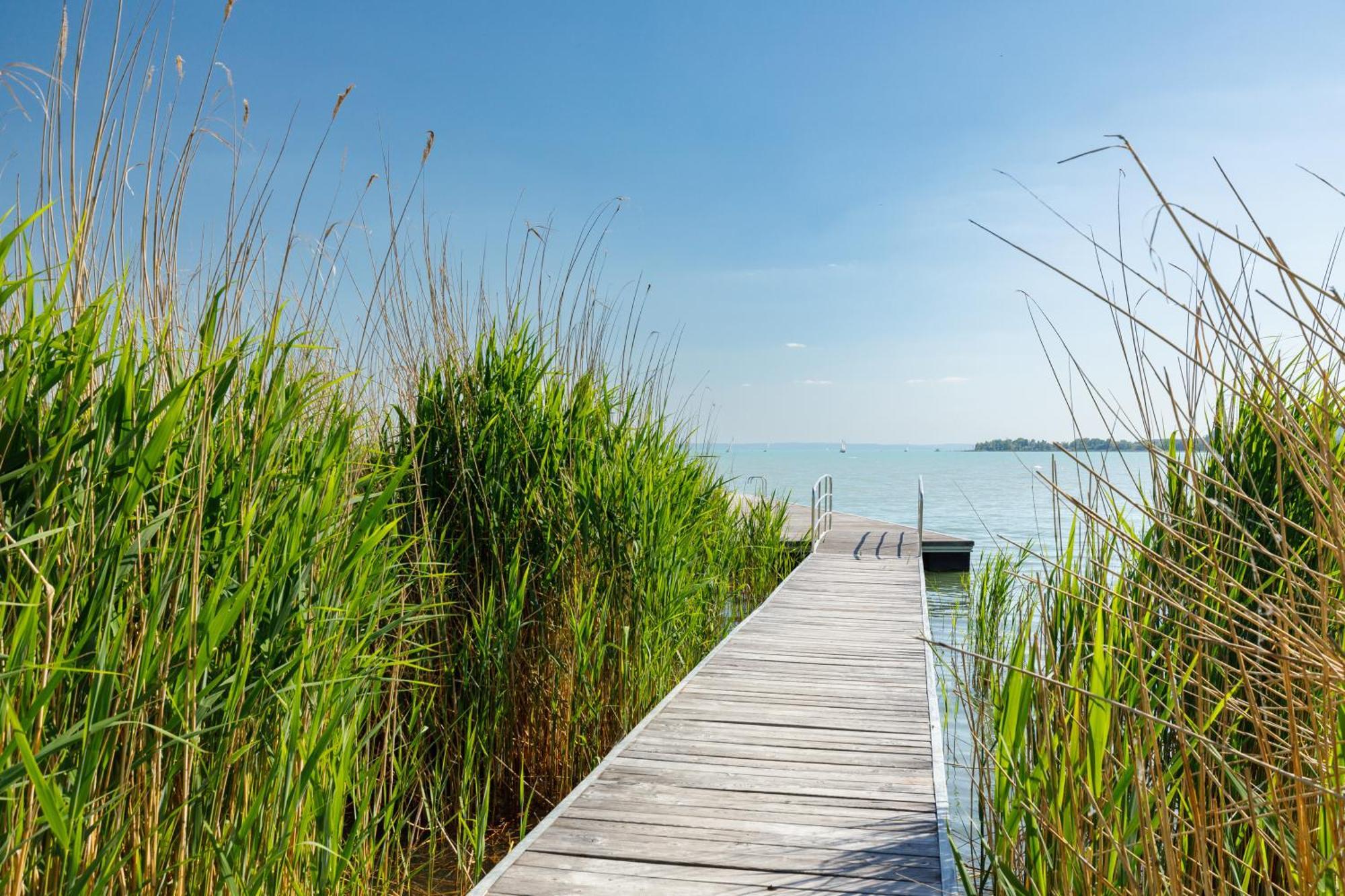 Fűzliget Blue4 Lejlighed Balatonfůzfő Eksteriør billede