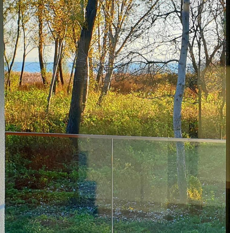Fűzliget Blue4 Lejlighed Balatonfůzfő Eksteriør billede